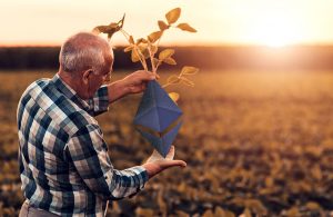 پروتکل های yield farming و نحوه کسب سود