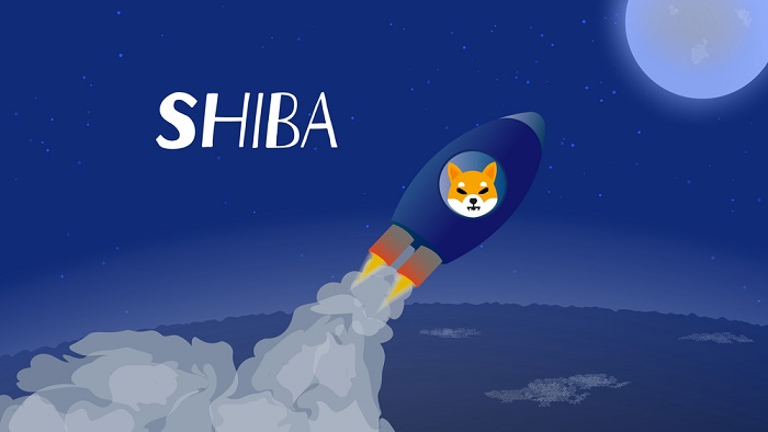 shiba to the moon