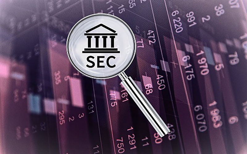 SEC چیست