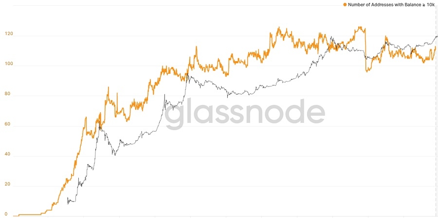 تعداد دارندگان، کاربران و هولدرهای بیت کوین در سال 2022 به طور متوسط چند نفر بیت کوین دارند؟