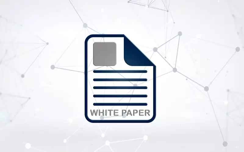how to write whitepaper 3