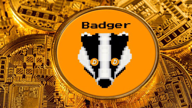 حضور بیشتر بیت کوین در دیفای با BadgerDAO ارز badger